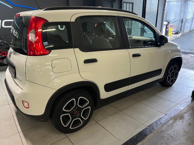 Fiat Panda 1.0 FireFly S&S Hybrid usato a COLLEGNO