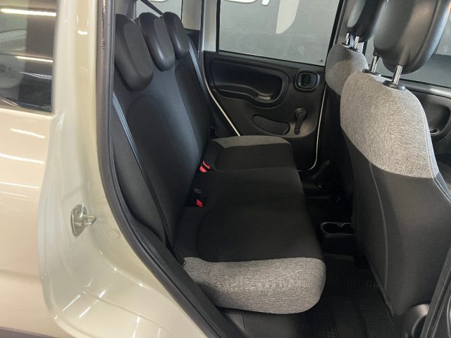 Fiat Panda 1.0 FireFly S&S Hybrid usato a COLLEGNO