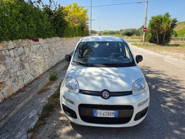 Fiat Panda 1.3 MJT 80 CV S&S Easy usato a FRAGAGNANO