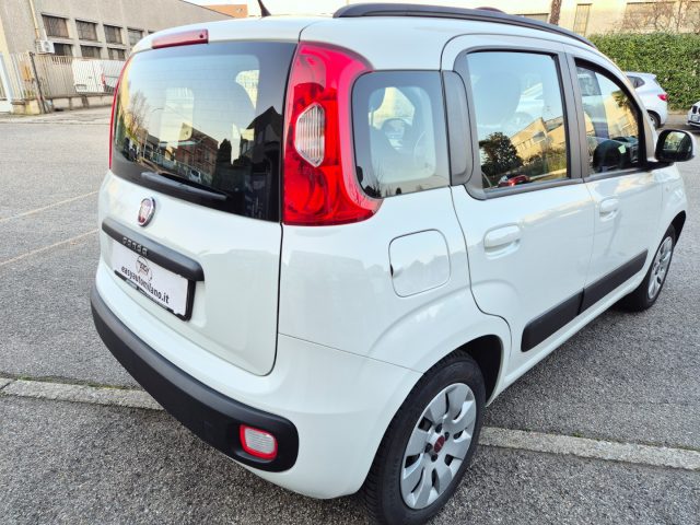 Fiat Panda 1.2 Lounge, del 2019, 79.500 km, in vendita a Cornaredo (MI)