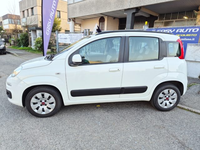 Fiat Panda 1.2 Lounge usato a CORNAREDO