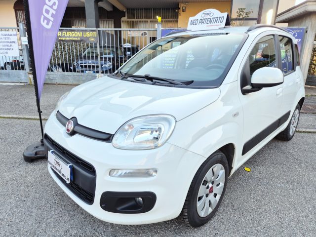 Fiat Panda 1.2 Lounge usato a CORNAREDO