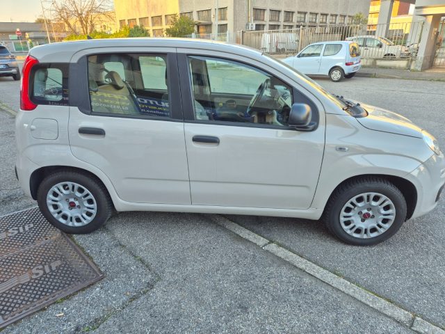 Fiat Panda 1.2 Easy usato a CORNAREDO