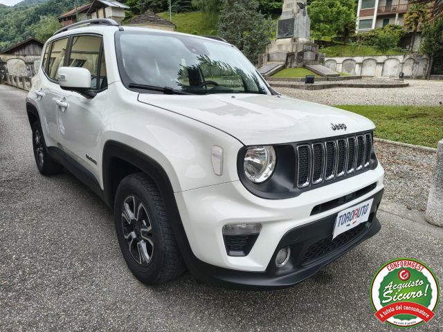 Jeep Renegade 1.6 Mjt 120 CV Business usato a VARALLO