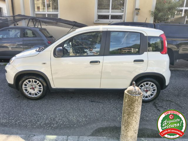 Fiat Panda 1.0 FireFly S&S Hybrid UNICO PROPRIETARIO - foto 4 di 4