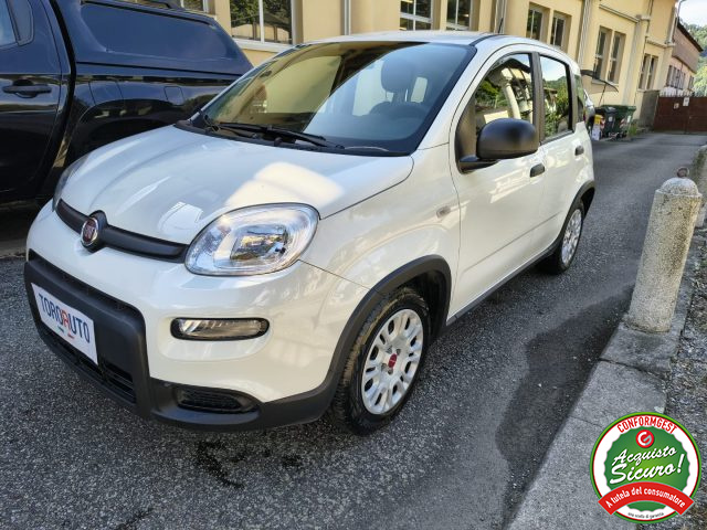 Fiat Panda 1.0 FireFly S&S Hybrid UNICO PROPRIETARIO - foto 3 di 4