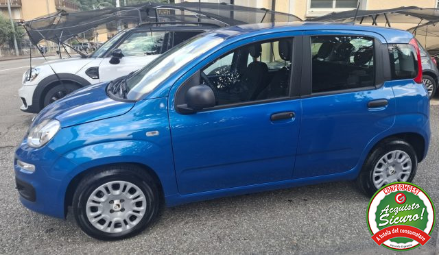 Fiat Panda 1.0 FireFly S&S Hybrid UNICO PROPR. - foto 4 di 4