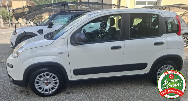 Fiat Panda 1.0 GSE S&S Hybrid Street Van 4 posti UN.PROP. - foto 4 di 4