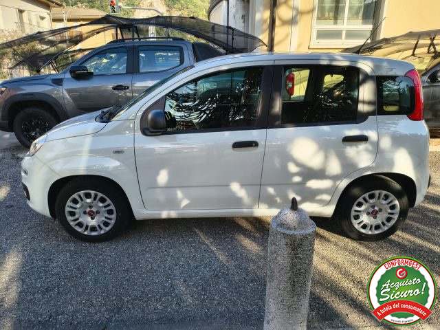 Fiat Panda 1.0 FireFly S&S Hybrid UN. PROP. - foto 4 di 4