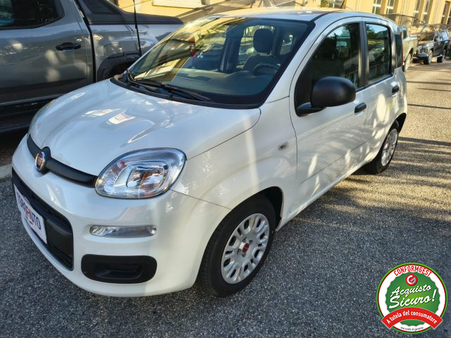 Fiat Panda 1.0 FireFly S&S Hybrid UN. PROP. - foto 3 di 4