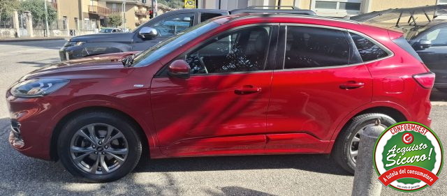 Ford Kuga 2.0 EcoBlue Hybrid 150 CV 2WD ST-Line UN.PROP. - foto 4 di 4