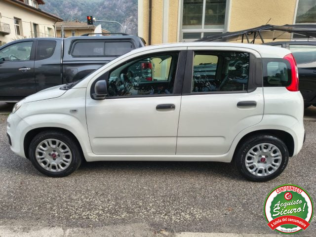 Fiat Panda 1.0 FireFly S&S Hybrid UN. PROP. - foto 4 di 4