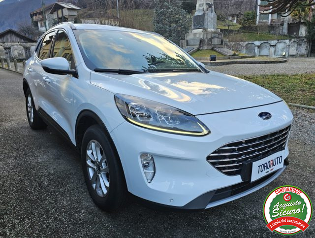 Ford Kuga 2.0 EcoBlue Hybrid 150 CV 2WD Titanium Business usato a VARALLO