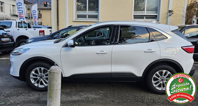 Ford Kuga 2.0 EcoBlue Hybrid 150 CV 2WD Titanium Business usato a VARALLO