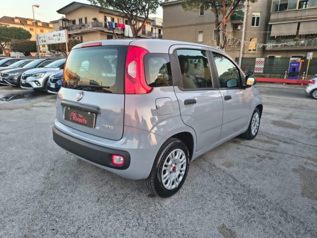 Fiat Panda 1.0 FireFly S&S Hybrid Easy - foto 4 di 4