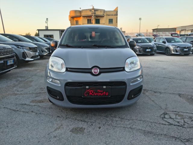 Fiat Panda 1.0 FireFly S&S Hybrid Easy usato a VOLLA
