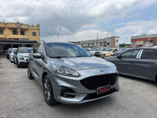 Ford Kuga 1.5 Tdi 120 CV ST-Line X Automatica - foto 3 di 4