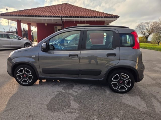 Fiat Panda 1.0 FireFly S&S Hybrid City Life usato a SAN GREGORIO MAGNO