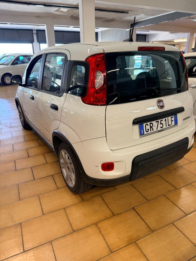 Fiat Panda 1.0 FireFly S&S Hybrid - foto 4 di 4