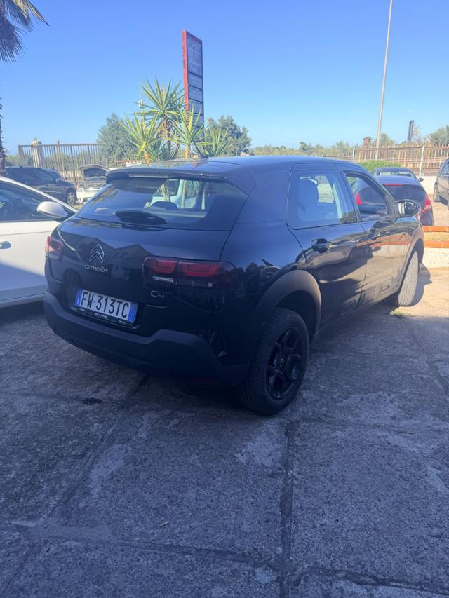 Citroen C4 Cactus BlueHDi 100 S&S Shine - foto 4 di 4