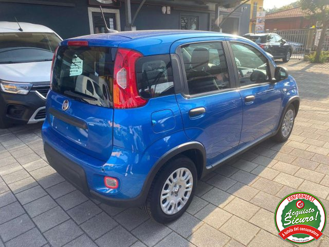 Fiat Panda Pandina 1.0 firefly hybrid s - foto 4 di 4