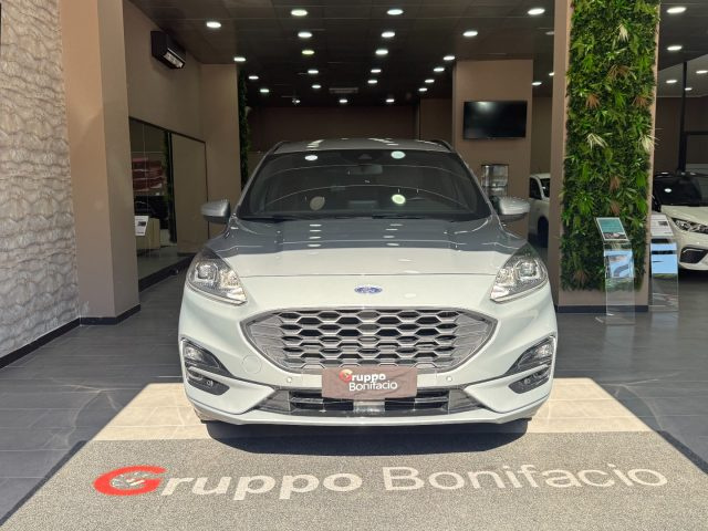 Ford Kuga 1.5 EcoBlue 120 CV aut. 2WD ST-Line - foto 2 di 4