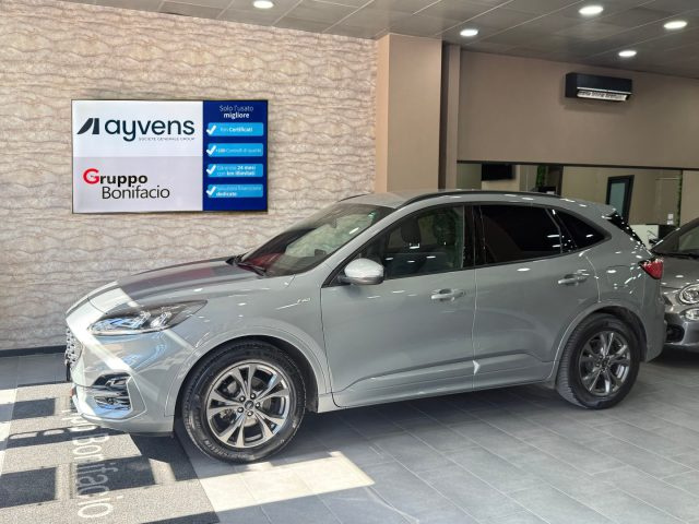 Ford Kuga 1.5 EcoBlue 120 CV aut. 2WD ST-Line usato a NAPOLI