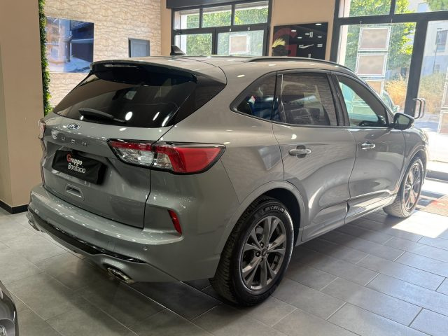 Ford Kuga 1.5 EcoBlue 120 CV aut. 2WD ST-Line - foto 4 di 4