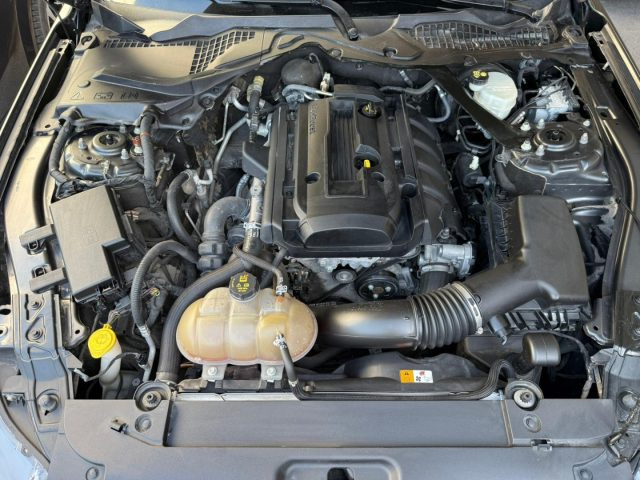 Ford Mustang Mustang 2.3 Ecoboost 317CV Automatico Cabrio usato a NAPOLI