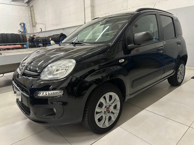 Fiat Panda 0.9 TwinAir Turbo S&S Lounge usato a ROVETTA
