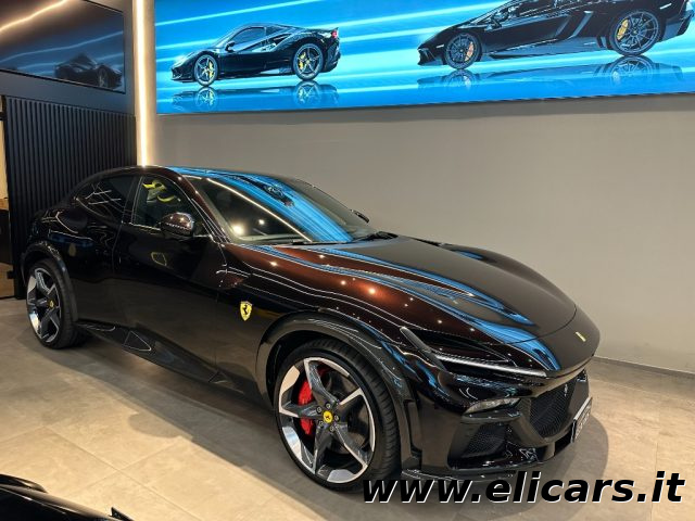 Ferrari Purosangue Purosangue usato a TORINO