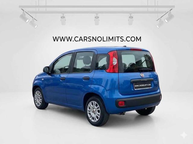 Fiat Panda 1.0 FireFly S&S Hybrid usato a FIRENZE