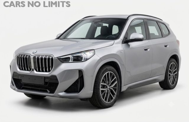 BMW X1 sDrive 18i usato a FIRENZE