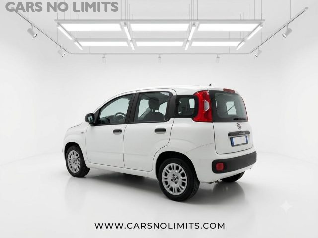 Fiat Panda 1.0 FireFly S&S Hybrid Pandina - foto 3 di 4