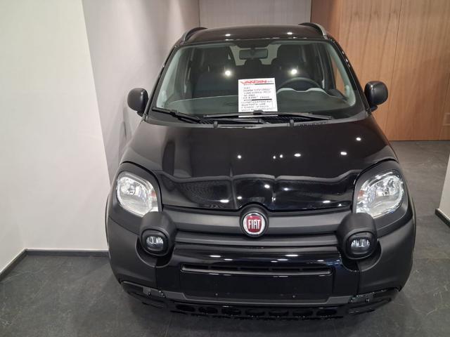 Fiat Panda 1.0 FireFly S&S Hybrid City Cross usato a TORINO