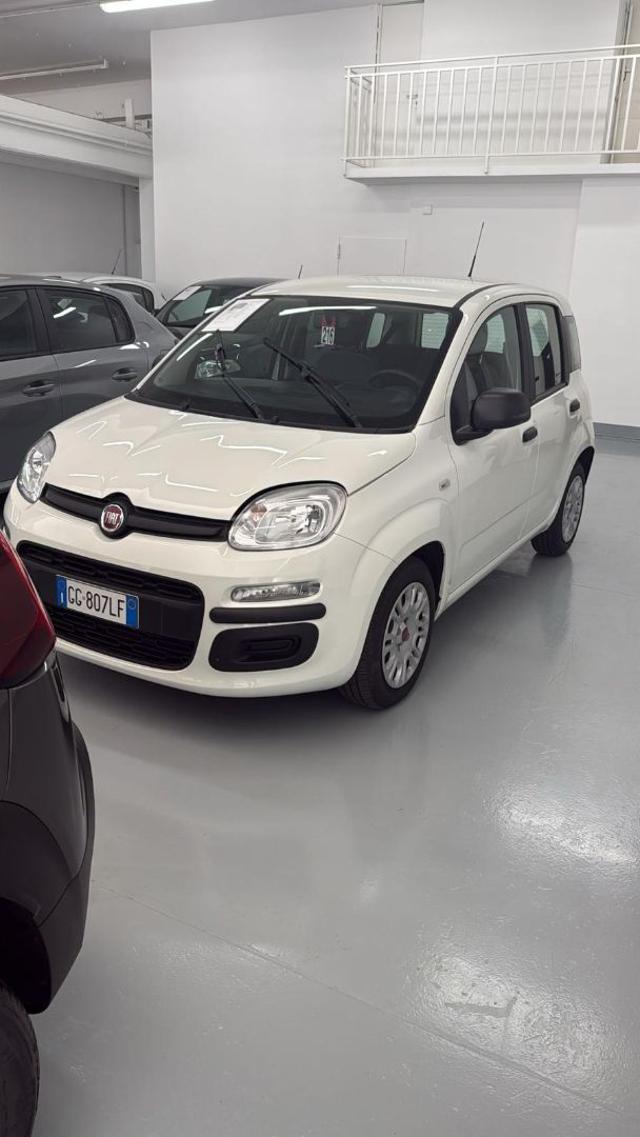 Fiat Panda 1.0 FireFly S&S Hybrid usato a TORINO