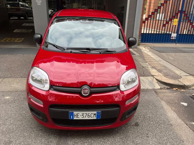 Fiat Pandina 1.0 HYBRID 65 CV ICON, del 2026, in vendita a Torino (TO)