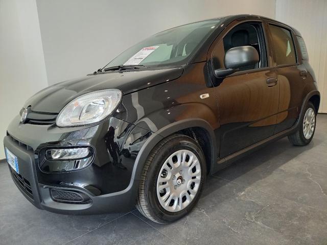 Fiat Panda 1.0 FireFly S&S Hybrid Pandina - foto 3 di 13