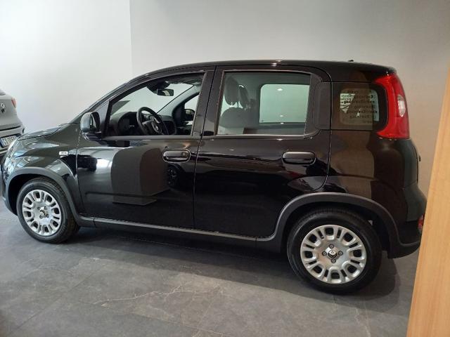 Fiat Panda 1.0 FireFly S&S Hybrid Pandina - foto 4 di 13