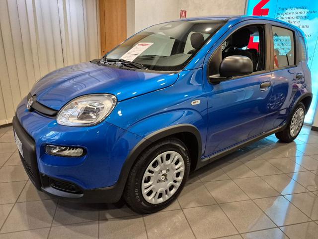 Fiat Panda 1.0 FireFly S&S Hybrid Pandina - foto 3 di 14