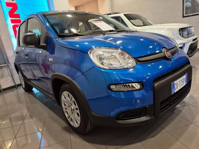 Fiat Panda 1.0 FireFly S&S Hybrid Pandina - foto 4 di 14