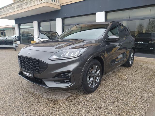 Ford Kuga 2.5 Full Hybrid 190 CV CVT 2WD ST-Line usato a ROVIGO