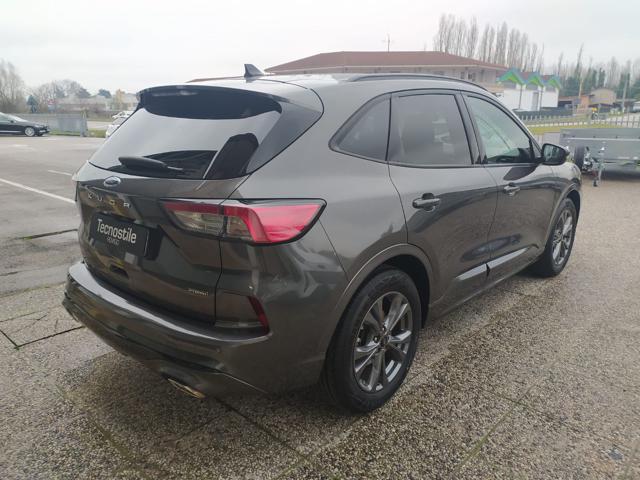 Ford Kuga 2.5 Full Hybrid 190 CV CVT 2WD ST-Line - foto 4 di 4
