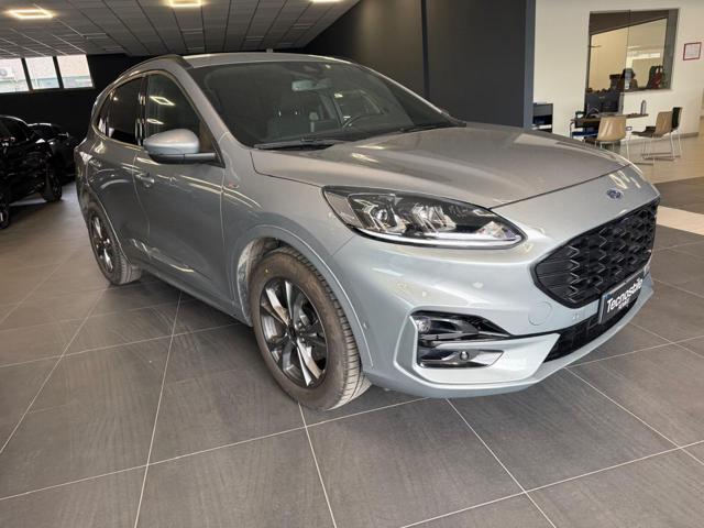 Ford Kuga 1.5 EcoBlue 120 CV aut. 2WD ST-Line usato a ROVIGO
