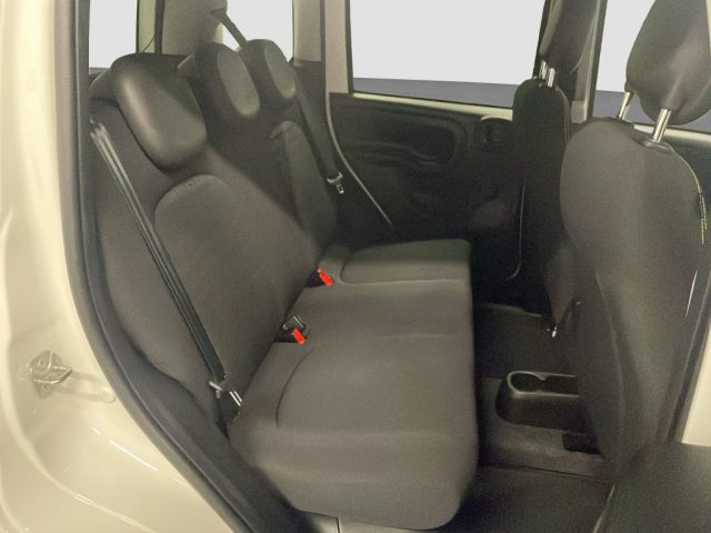 Fiat Panda 1.0 FireFly S&S Hybrid Pandina usato a TORINO
