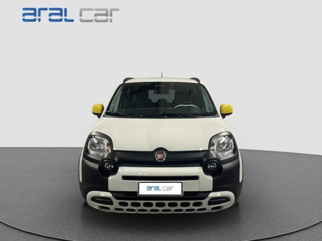 Fiat Panda 1.0 FireFly S&S Hybrid Pandina usato a TORINO