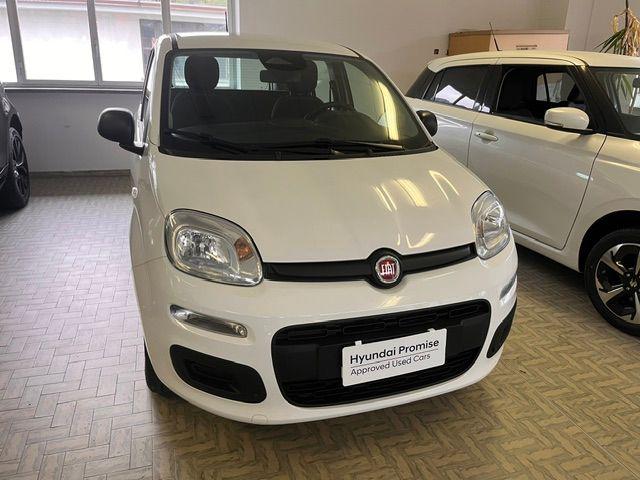 Fiat Pandina 1.0 FireFly 65 CV Hybrid Icon - foto 2 di 4