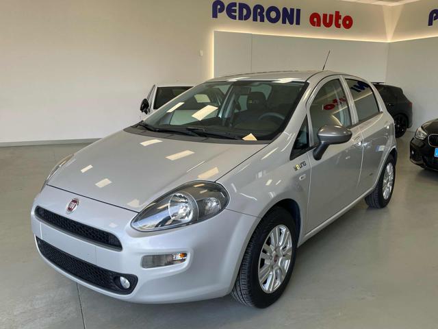 Fiat Punto 1.2 8V 69 CV 5 porte Young Neopatentati usato a LENO