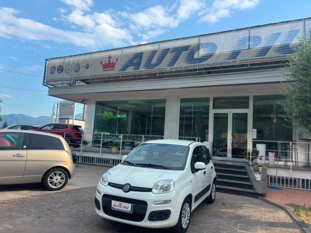 Fiat Panda 1.2 69CV NEOPATENTATI EASY BONUS GPL usato a POGGIOMARINO