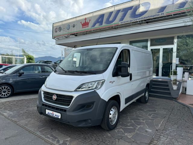 Fiat Ducato 35 2.3 MJT 130CV PC-TN 3p. Furgone usato a POGGIOMARINO